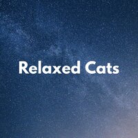 Channeling Cool - Music For Cats & Cat Music & Music For Cats Peace