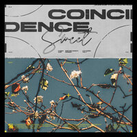 Coincidence - DAISI
