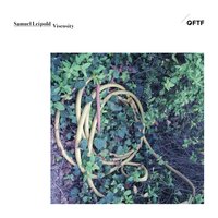 Parsi - Samuel Leipold