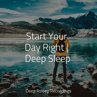 Trance - Amazing Spa Music & Relaxation Music Guru & Study Concentration