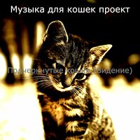 Чувство (Милые кошки) - Музыка для кошек проект