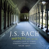 I. Der Geist hilft unsrer Schwachheit auf - Nicol Matt & Johann Sebastian Bach