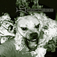 Ahead Of The Pack - Scornage