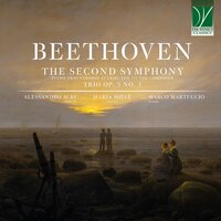 Piano Trio No. 1 in C Minor, Op. 3: IV. Finale. Prestissimo - Alessandro Acri & Maria Miele & Marco Martuccio & Ludwig van Beethoven