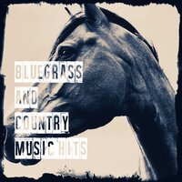 Achy Breaky Heart - The Nashville Riders