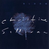 Here Comes the Sun - Christine Sullivan