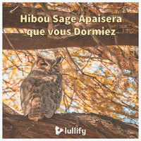 Des voix dans le noir - Lullify Français