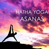 Mandala - Asana Perkins