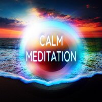 Calming Birds - Meditation Zone