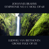 Symphonie No. 1 c-moll in C Minor, Op. 68: I. Un poco sostenuto – Allegro - Berliner Philharmoniker & Wilhelm Furtwängler & Ludwig van Beethoven & Иоганнес Брамс