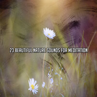 Прогулка по саду - Sounds of Nature Noise