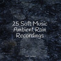 Beachside Rain - Avslappning Sound & Serenity Spa Music Relaxation & Shakuhachi Sakano