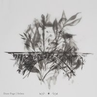Back to Me - Dane Page