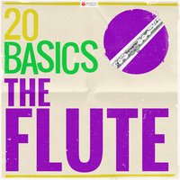Concerto in G Major for Flute, Strings and Basso Continuo: I. Allegro - Les Solistes Marseille & Willy Freivogel & Klaus-Peter Hahn & Иоганн Иоахим Кванц