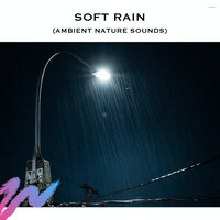 Rain Background Noise (Loopable) - Rain Radiance & Nature Radiance & Rain Sounds