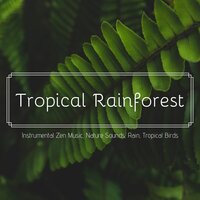 Bamboo Trees - Traditional Japanese Music Ensemble & Ocean Sounds Collection