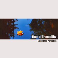 Time of Tranquility - Therapy Spa Music Paradise
