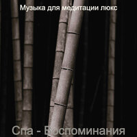 Настроения (спа) - Музыка для медитации люкс
