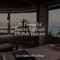 Aloof and Away - White Noise Sound Garden & Ambient Forest & Meditation & Stress Relief Therapy