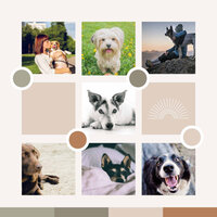Simplistic Dog Anxieties - Jazz Music for Dogs