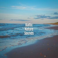 Waves and Wind - Baltic Nature Sounds