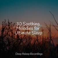 Yawn Away - Saludo al Sol Sonido Relajante & Chakra Balancing Sound Therapy & Echoes of Nature