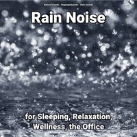 Spectacular Noises - Nature Sounds & Rain Sounds & Regengeräusche
