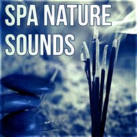 Music Therapy (Rain Noise) - Spa Massage Solution