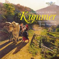 Trio for Flute, Clarinet and Bassoon, Op. 32: II. Andante grazioso - Italian Classical Consort
