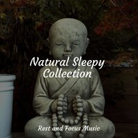 Beauty Essence - Meditation & Baby Sleep Lullaby Academy & Buddhist Meditation Music Set