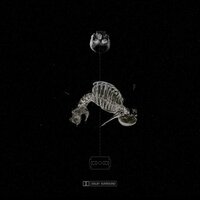 decaying at 18 - Shinigami & Supachefm