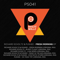 Bumpy Flight - Richard Scholtz