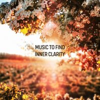 Pure Calmness - Ambient Music Collective