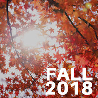 Full Immersion - Joy of a Sunny Day