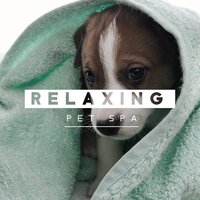 Wagging - Pet Music Academy