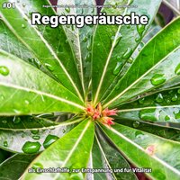 Regengeräusche, pt. 60 - Regengeräusche in hoher Qualität & Naturgeräusche & Regengeräusche