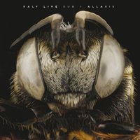 Run and Go Dub - Kaly Live Dub & Learoy Green