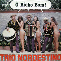 Amor de Doido - Trio Nordestino