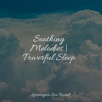 Peaceful - Study Concentration & Sonido Del Bosque y Naturaleza & Loopable Rain