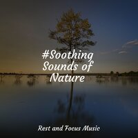 Bamboo Sounds - Massage Therapy Music & Namaste Healing Yoga & Lullaby Babies