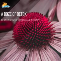 Guides to the Soul - Sanct Devotional Club & Mystical Guide