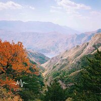 道别 - 林中意