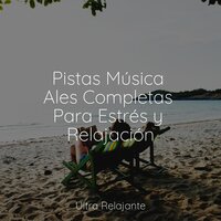 Serenidad Espolvoreante - Sueño Lucido & Especialistas de Musica para Dormir & Sueños Triplete