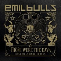 Fire in the Audience - Emil Bulls