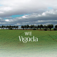 La Tía Pitita (Peretas) - Viguela