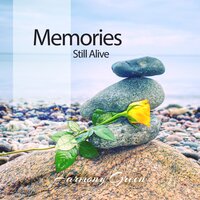 Illusions - Harmony Green