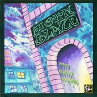 Spitfire - Tony Rocky Horror
