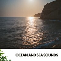 Whispering Waters Sonata - Solfeggio Frequencies 528Hz & Ocean Sounds Plus & Spa Treatment
