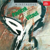 Tanec Minotaura s dívkou - Michal Pavlicek & Miroslav Vitous