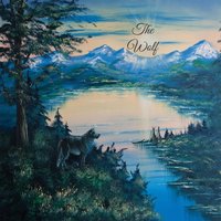 The Wild One - Shawn James